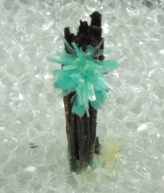 Aurichalcite on Goethite from 79 Mine, Banner District, near Hayden, Gila County, Arizona