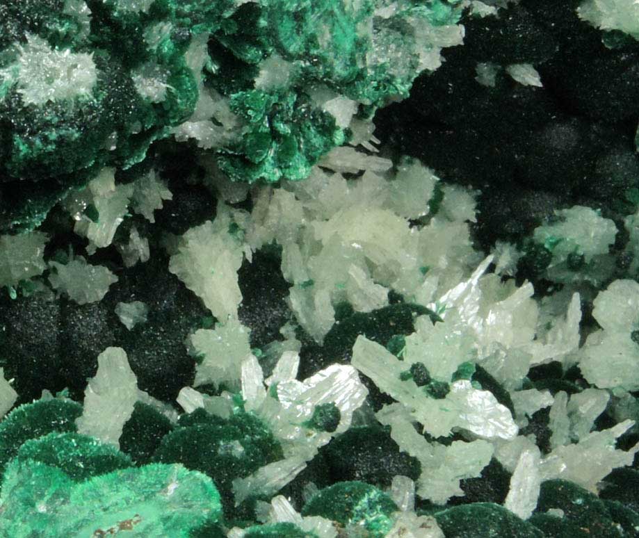 Cerussite (twinned crystals) on Malachite from Qaleh-Zari Mine, Nehbandan, South Khorasan, Iran