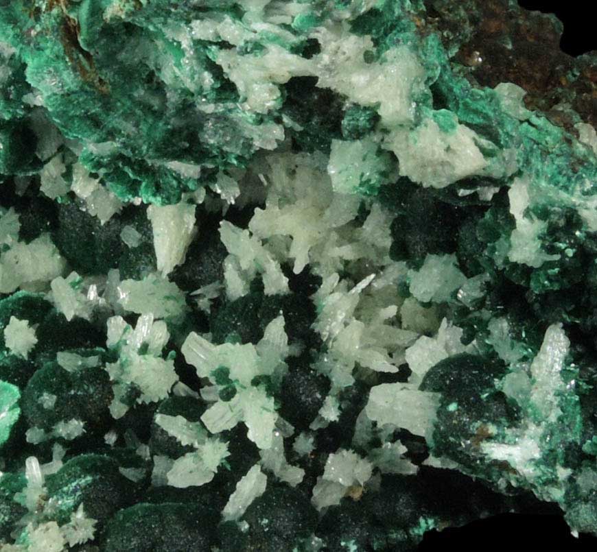 Cerussite (twinned crystals) on Malachite from Qaleh-Zari Mine, Nehbandan, South Khorasan, Iran