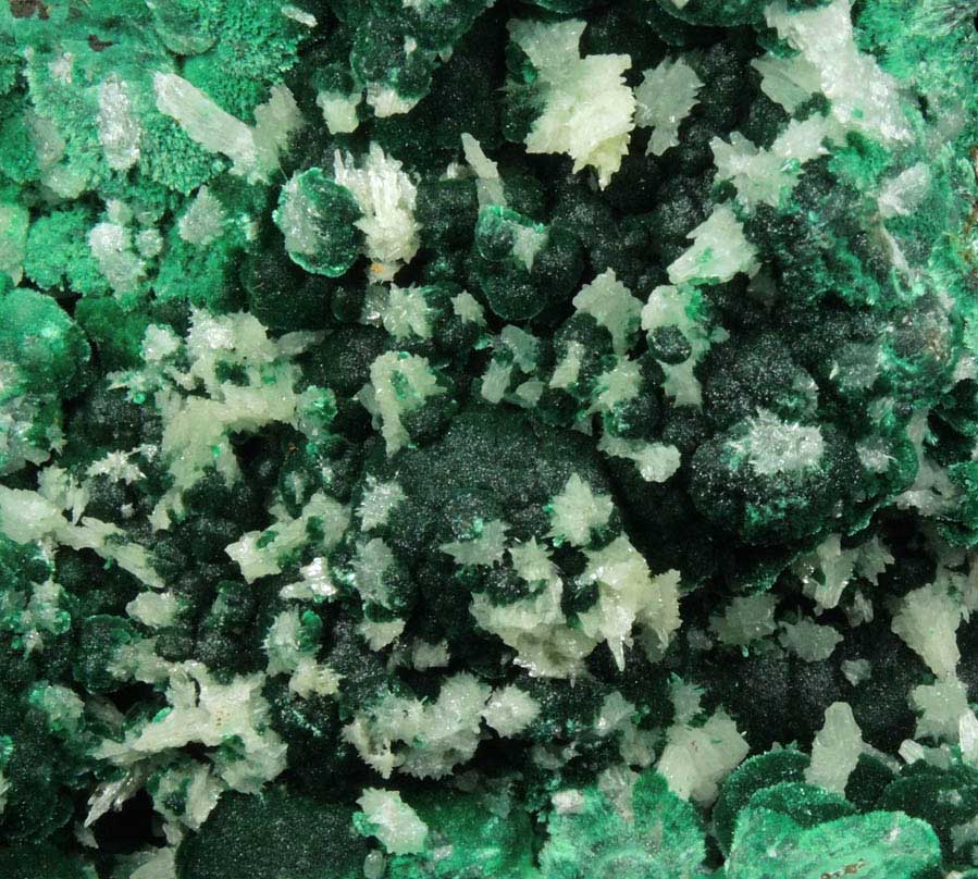 Cerussite (twinned crystals) on Malachite from Qaleh-Zari Mine, Nehbandan, South Khorasan, Iran