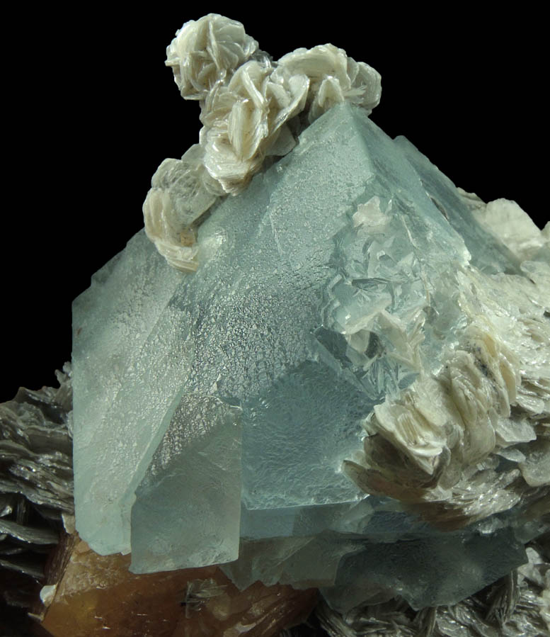 Scheelite and Fluorite on Muscovite from Xuebaoding Mountain, near Pingwu, Sichuan Province, China