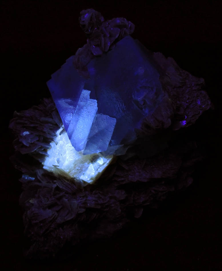 Photo below under shortwave ultraviolet illumination of Scheelite and Fluorite on Muscovite from Xuebaoding Mountain, near Pingwu, Sichuan Province, China Scheelite and Fluorite on Muscovite from Xuebaoding Mountain, near Pingwu, Sichuan Province, China