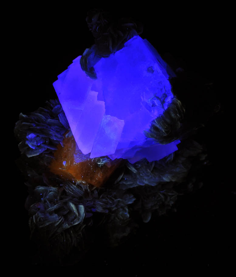 Photo below under longwave ultraviolet illumination of Scheelite and Fluorite on Muscovite from Xuebaoding Mountain, near Pingwu, Sichuan Province, China Scheelite and Fluorite on Muscovite from Xuebaoding Mountain, near Pingwu, Sichuan Province, China