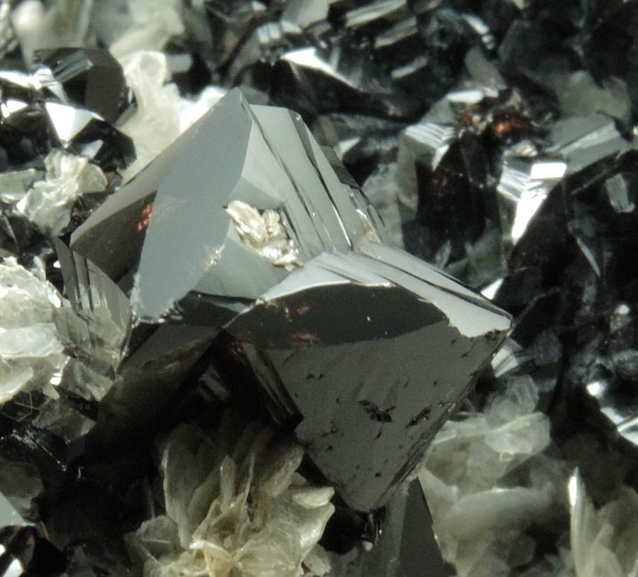 Cassiterite on Muscovite from Xuebaoding Mountain, near Pingwu, Sichuan Province, China