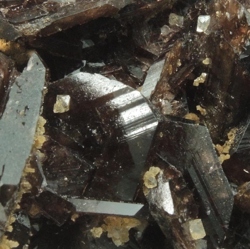 Axinite-(Fe) with Quartz from Nandan, Hechi, Guangxi, China