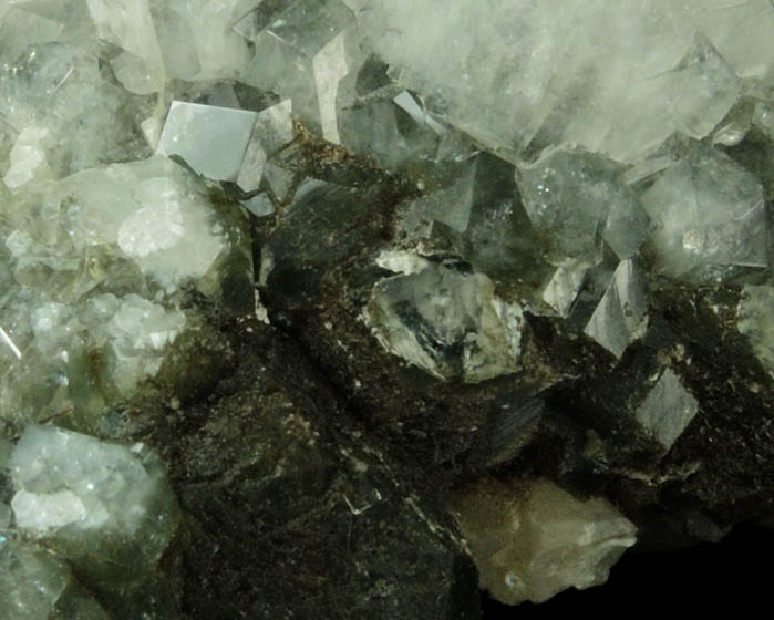 Apophyllite with Chlorite inclusions from Millington Quarry, State Pit, Bernards Township, Somerset County, New Jersey