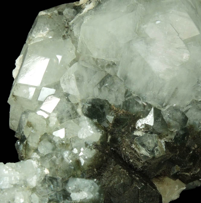 Apophyllite with Chlorite inclusions from Millington Quarry, State Pit, Bernards Township, Somerset County, New Jersey