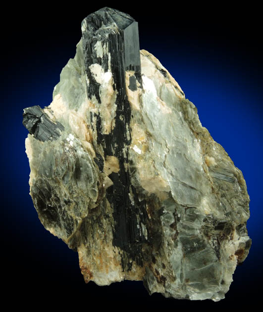 Schorl Tourmaline in Muscovite from north ridge of Long Hill, Haddam, Middlesex County, Connecticut