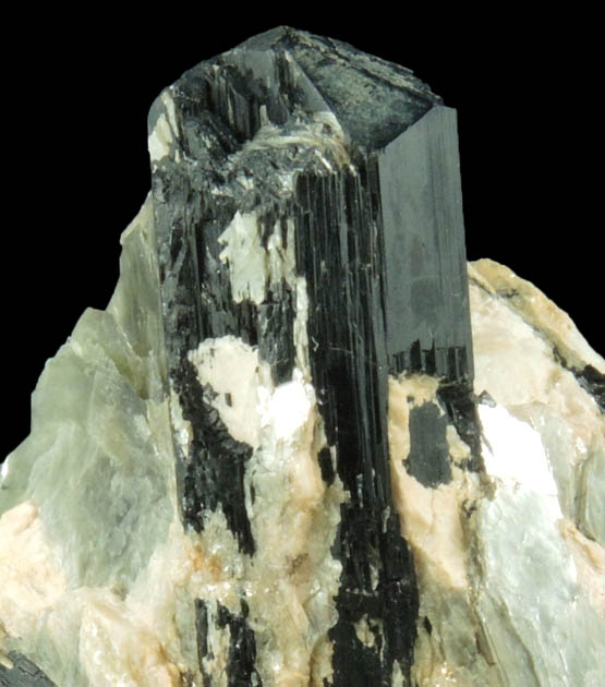 Schorl Tourmaline in Muscovite from north ridge of Long Hill, Haddam, Middlesex County, Connecticut