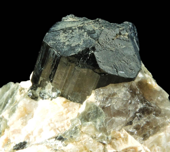 Schorl Tourmaline in Muscovite from north ridge of Long Hill, Haddam, Middlesex County, Connecticut
