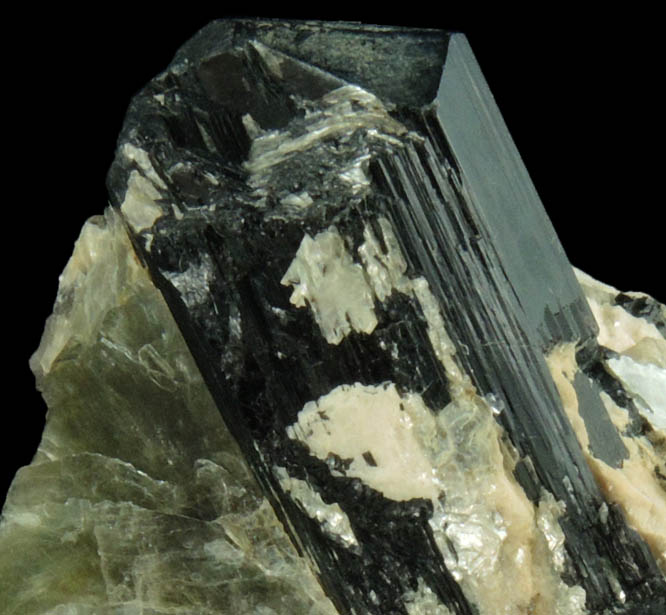 Schorl Tourmaline in Muscovite from north ridge of Long Hill, Haddam, Middlesex County, Connecticut