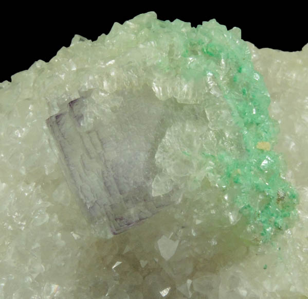 Calcite with Brochantite inclusions over Fluorite from Ora Mine, Hansonburg District, 8.5 km south of Bingham, Socorro County, New Mexico