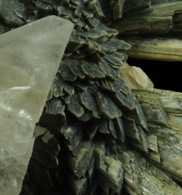 Actinolite pseudomorphs after Diopside (Uralite) on Gypsum from Calumet Mine, 12 km NNE of Salida, Chaffee County, Colorado