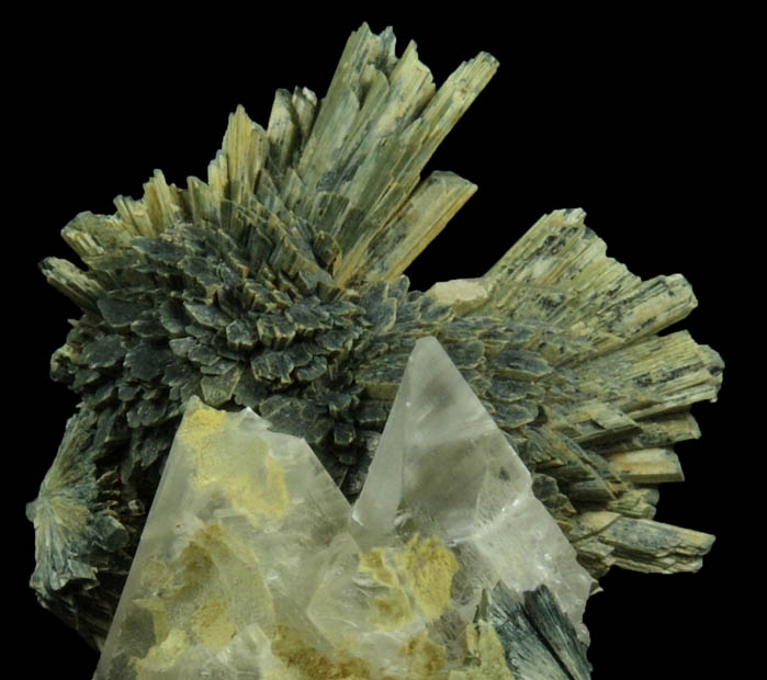 Actinolite pseudomorphs after Diopside (Uralite) on Gypsum from Calumet Mine, 12 km NNE of Salida, Chaffee County, Colorado