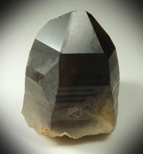 Quartz var. Smoky Quartz (with rare crystal faces) from Lake George District, Park County, Colorado