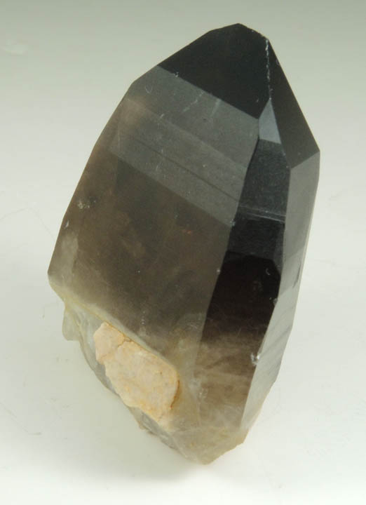 Quartz var. Smoky Quartz (with rare crystal faces) from Lake George District, Park County, Colorado