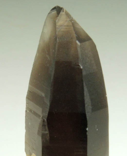 Quartz var. Smoky Quartz (with rare crystal faces) from Lake George District, Park County, Colorado