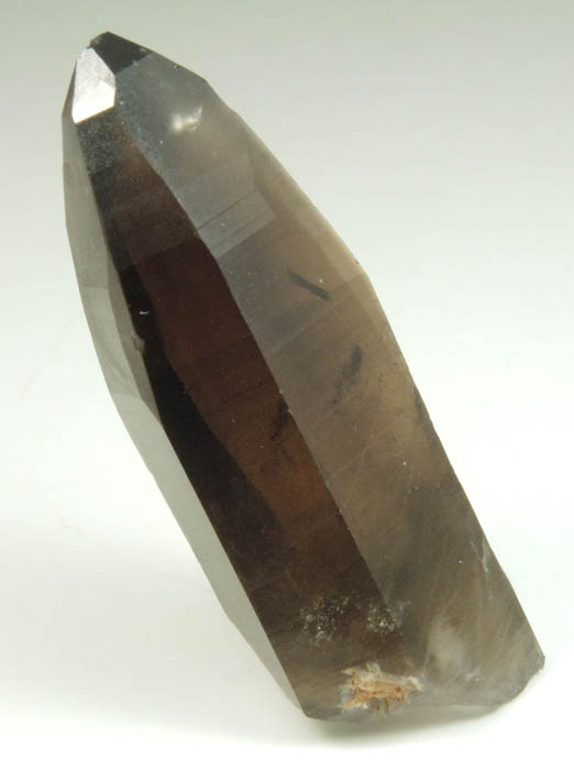 Quartz var. Smoky Quartz (with rare crystal faces) from Lake George District, Park County, Colorado