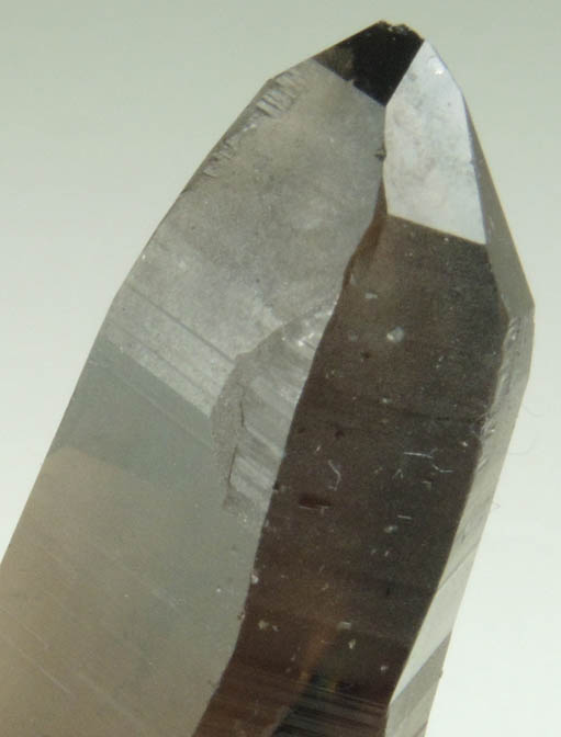 Quartz var. Smoky Quartz (with rare crystal faces) from Lake George District, Park County, Colorado