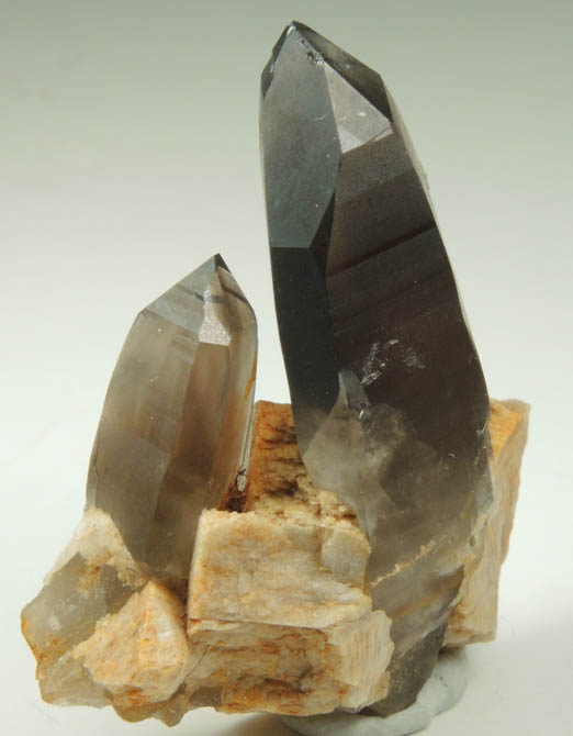 Quartz var. Smoky Quartz (with rare crystal faces) from Lake George District, Park County, Colorado