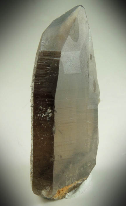 Quartz var. Smoky Quartz (with rare crystal faces) from Lake George District, Park County, Colorado