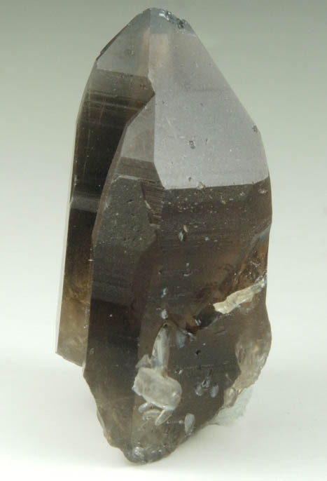 Quartz var. Smoky Quartz (with rare crystal faces) from Lake George District, Park County, Colorado