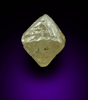 Diamond (0.93 carat yellowish-gray octahedral uncut diamond) from Northern Cape Province, South Africa