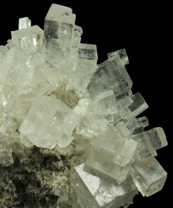 Halite from Soda Lake, Carrizo Plain, San Luis Obispo County, California