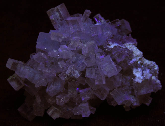 Halite from Soda Lake, Carrizo Plain, San Luis Obispo County, California