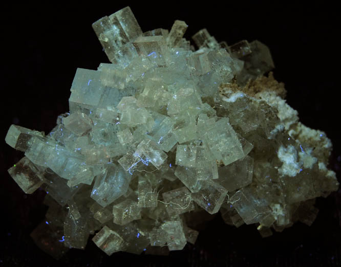 Halite from Soda Lake, Carrizo Plain, San Luis Obispo County, California