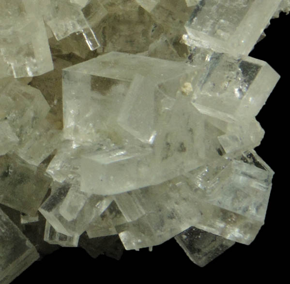 Halite from Soda Lake, Carrizo Plain, San Luis Obispo County, California