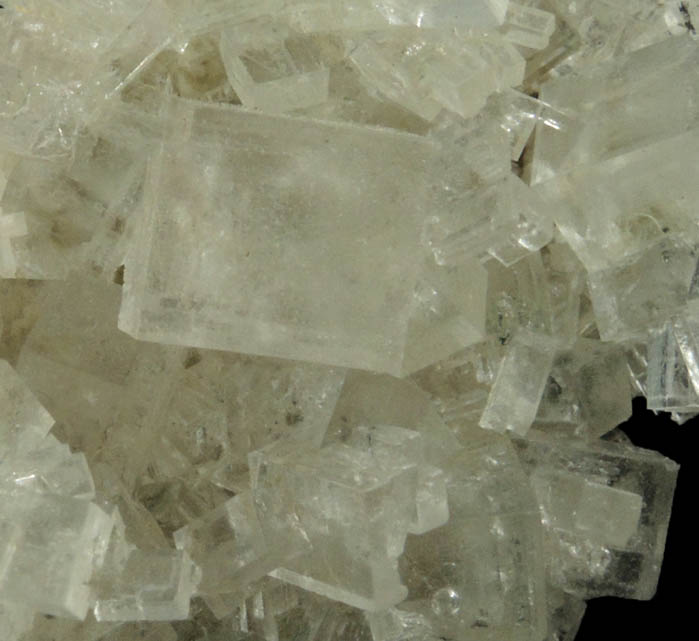 Halite from Soda Lake, Carrizo Plain, San Luis Obispo County, California