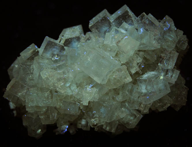 Halite from Soda Lake, Carrizo Plain, San Luis Obispo County, California