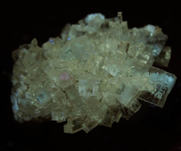 Halite from Soda Lake, Carrizo Plain, San Luis Obispo County, California