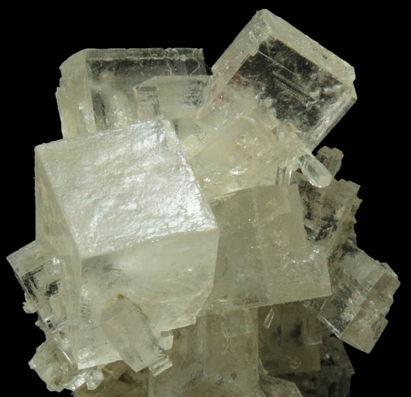 Halite from Soda Lake, Carrizo Plain, San Luis Obispo County, California