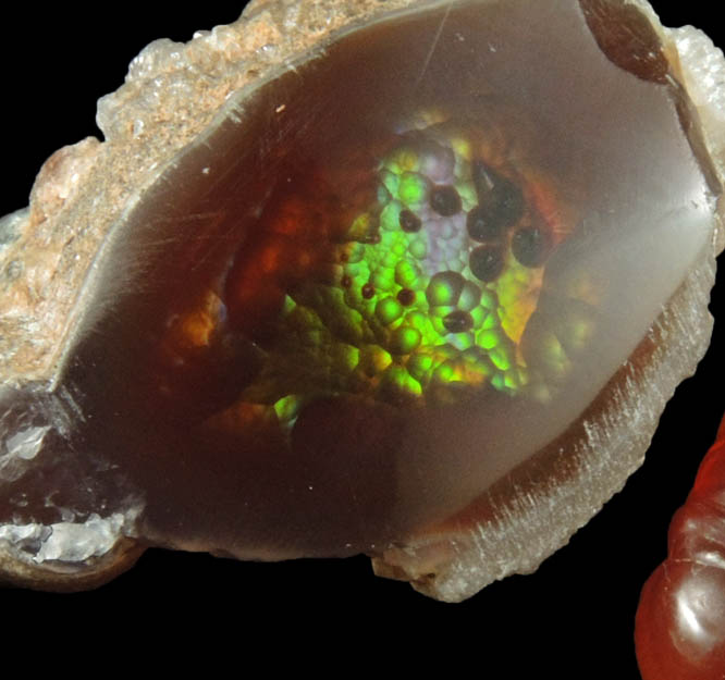 Quartz var. Fire Agate from Round Mountain Rockhound Area, 28 km south of Duncan, Greenlee County, Arizona