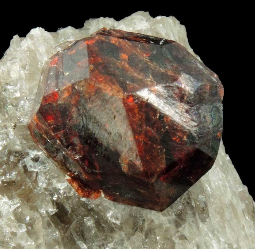 Spessartine-Almandine Garnet in Quartz from Leiper's Quarry, Avondale, Delaware County, Pennsylvania