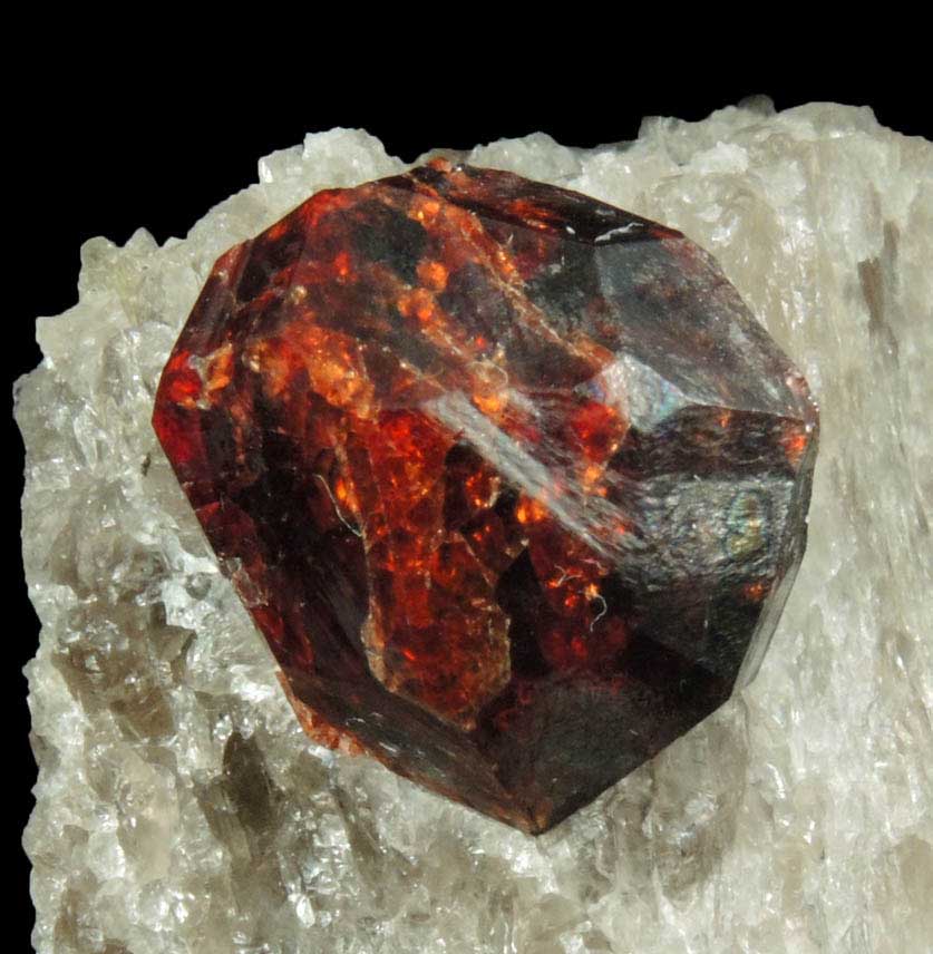 Spessartine-Almandine Garnet in Quartz from Leiper's Quarry, Avondale, Delaware County, Pennsylvania