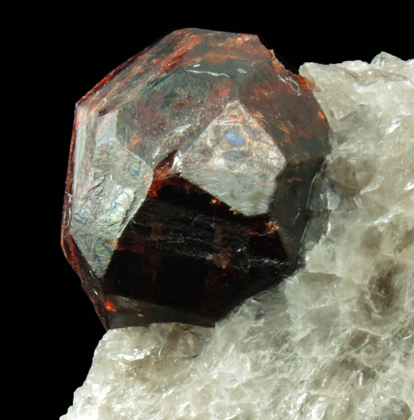 Spessartine-Almandine Garnet in Quartz from Leiper's Quarry, Avondale, Delaware County, Pennsylvania