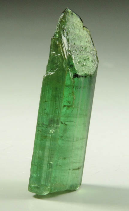 Elbaite Tourmaline from Dunton Quarry, Plumbago Mountain, Hall's Ridge, Newry, Oxford County, Maine