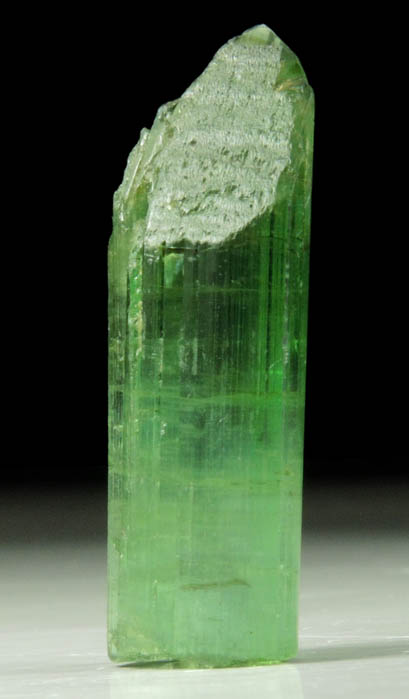 Elbaite Tourmaline from Dunton Quarry, Plumbago Mountain, Hall's Ridge, Newry, Oxford County, Maine