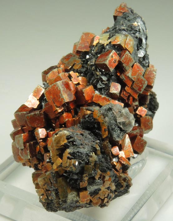 Pyrite on Magnetite from French Creek Iron Mines, St. Peters, Chester County, Pennsylvania