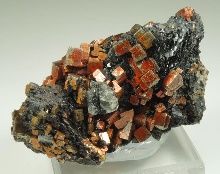 Pyrite on Magnetite from French Creek Iron Mines, St. Peters, Chester County, Pennsylvania