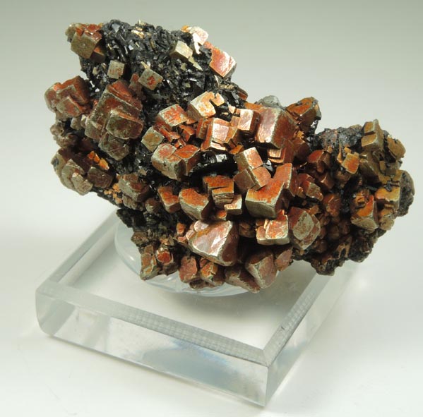 Pyrite on Magnetite from French Creek Iron Mines, St. Peters, Chester County, Pennsylvania