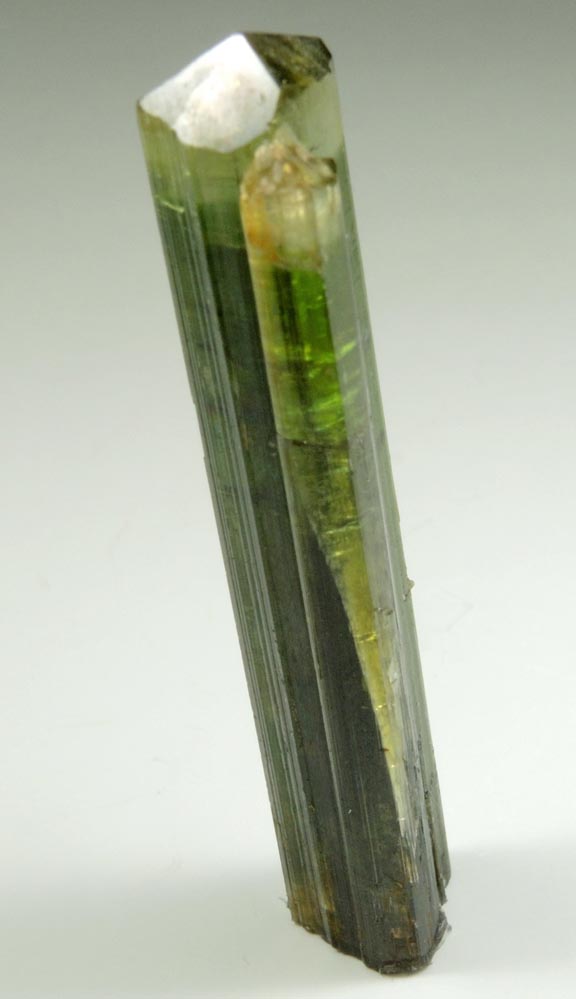 Elbaite Tourmaline from Gillette Quarry, Haddam Neck, Middlesex County, Connecticut