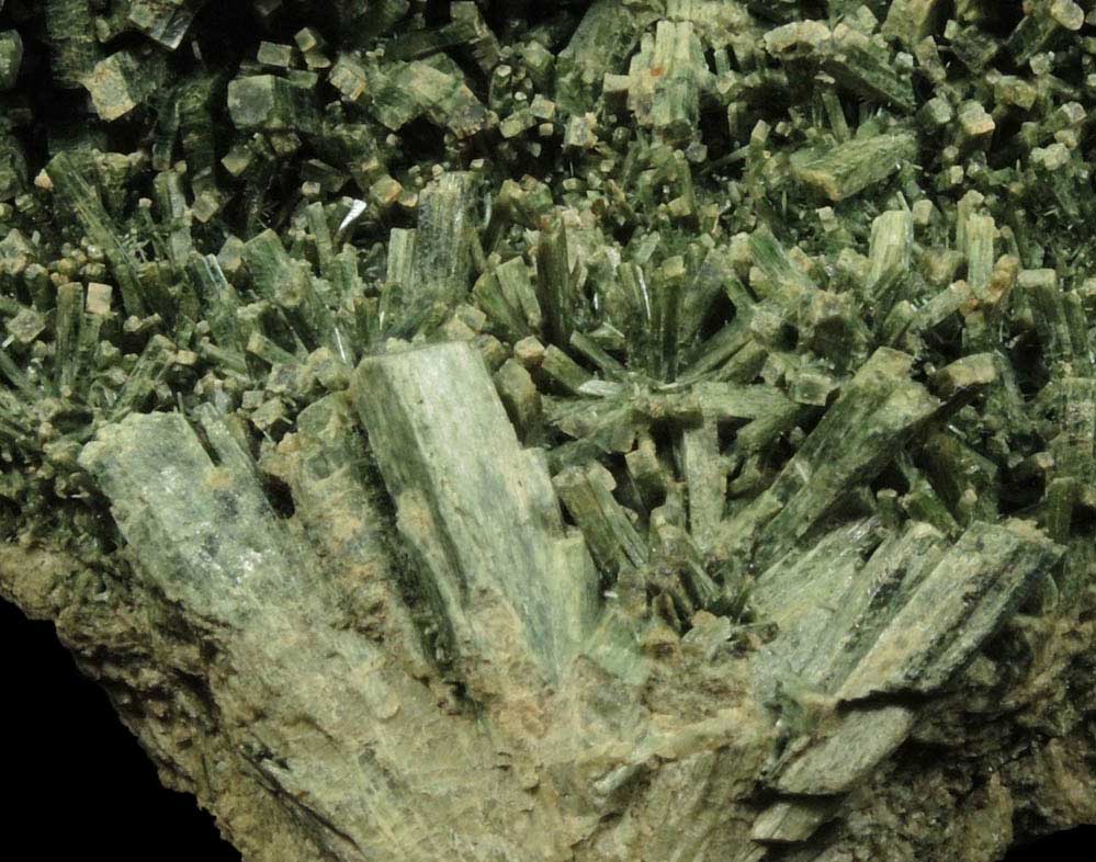 Actinolite pseudomorphs after Diopside (Uralite) from Calumet Mine, 12 km NNE of Salida, Chaffee County, Colorado