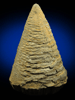 Calcite cone-in-cone formation from Colorado