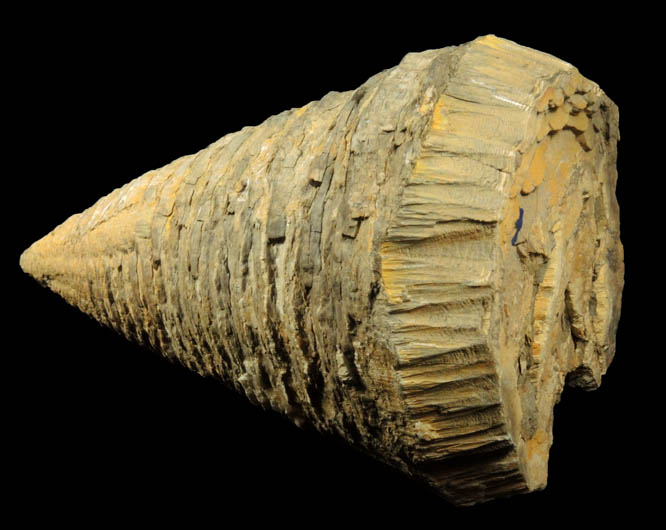 Calcite cone-in-cone formation from Colorado