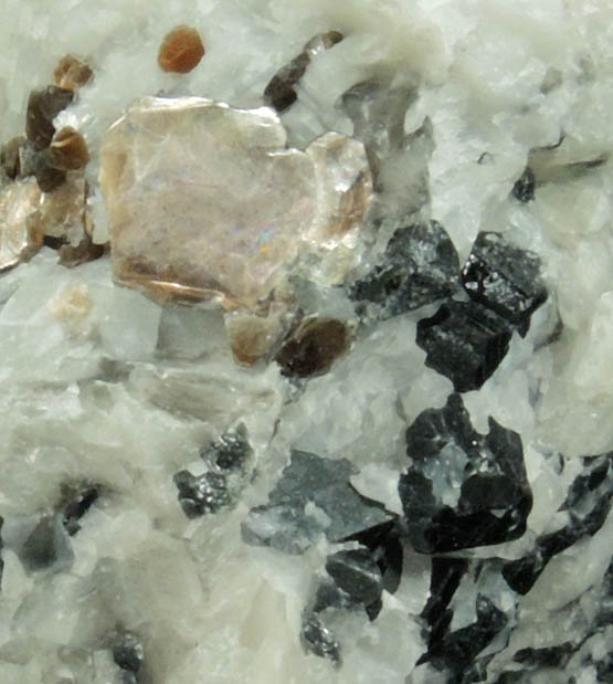 Spinel and Phlogopite in Franklin Marble from Lime Crest Quarry (Limecrest), Sussex Mills, 4.5 km northwest of Sparta, Sussex County, New Jersey