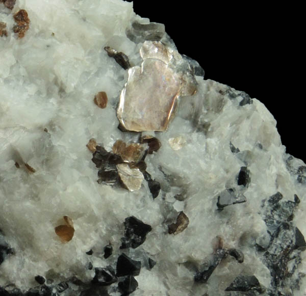 Spinel and Phlogopite in Franklin Marble from Lime Crest Quarry (Limecrest), Sussex Mills, 4.5 km northwest of Sparta, Sussex County, New Jersey